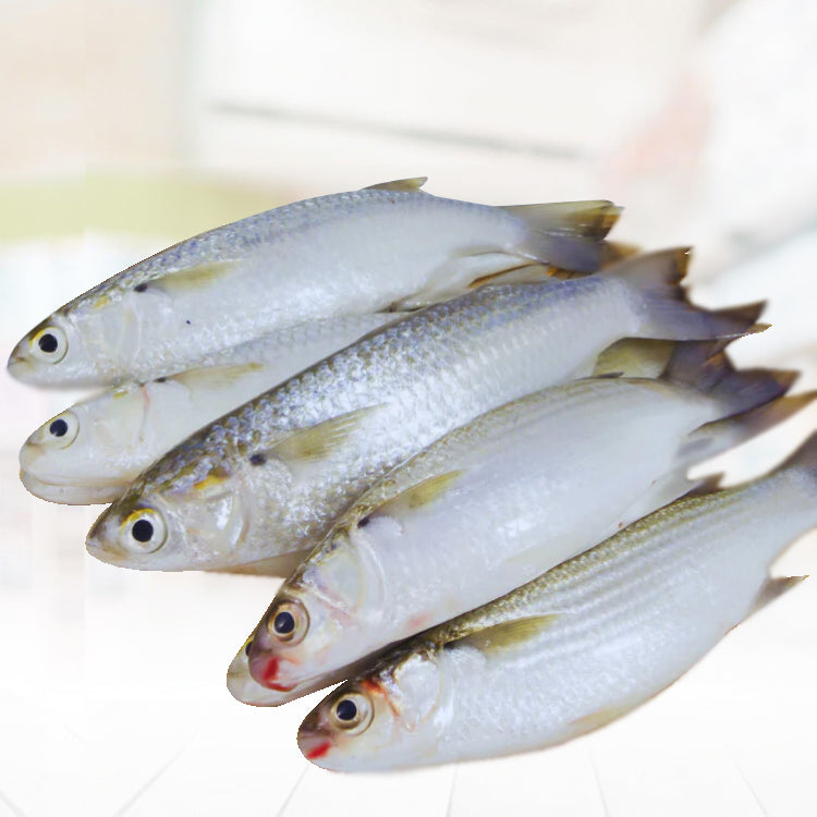 Banak (Mullet fish)