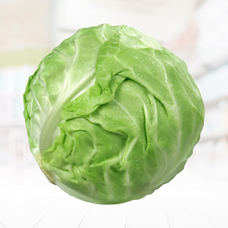 Cabbage (Ordinary Cabbage)