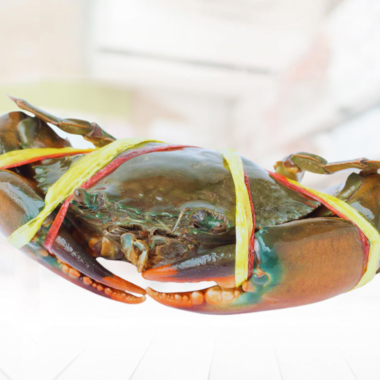 Alimango (Crab)