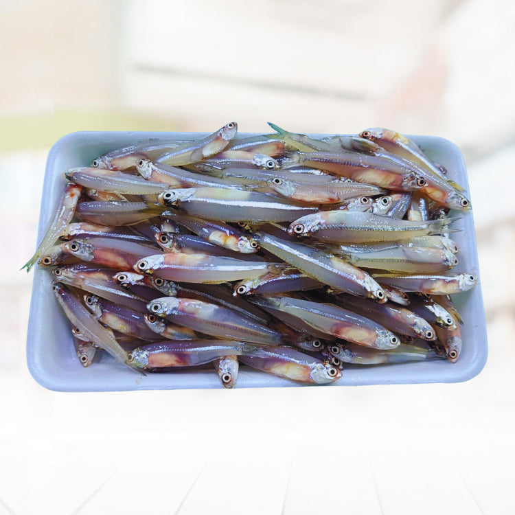 Dilis (Anchovy)