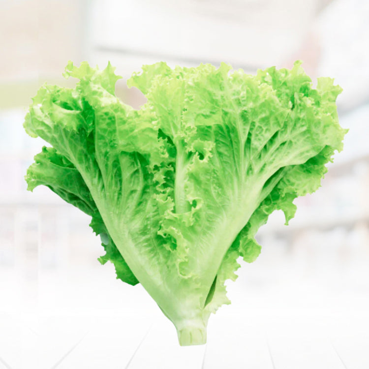 Lettuce Green Ice