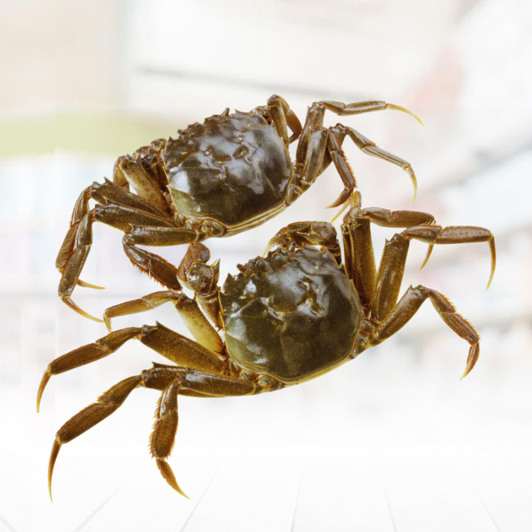Talangka (Crab)