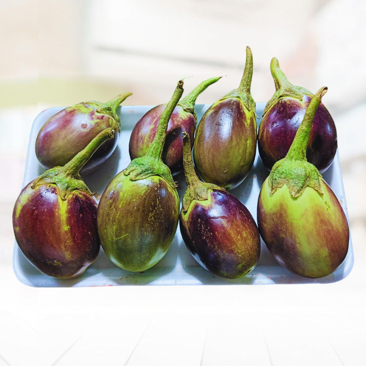 Talong (Eggplant Round)